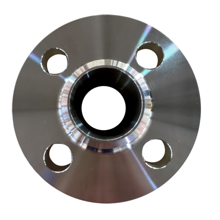 S32168 Steel Flange